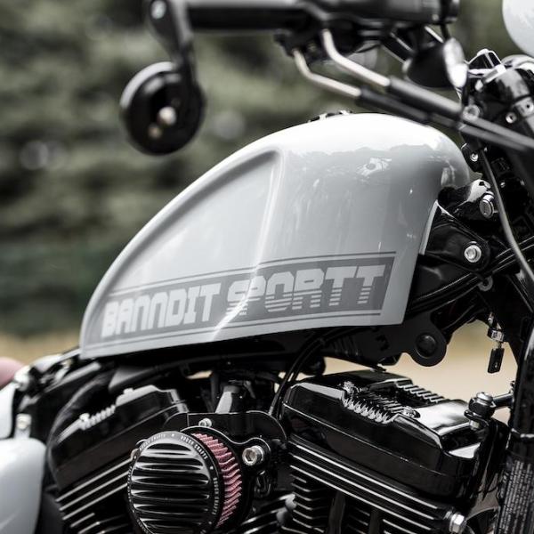 Tapa del depósito de combustible para Sportster (07-17)