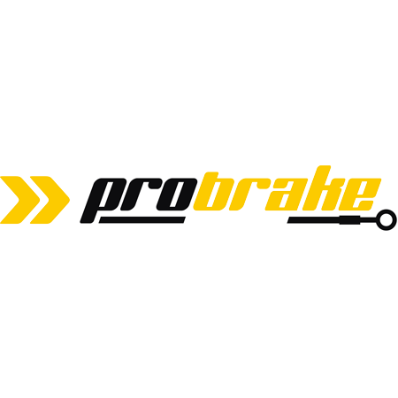 BREMS- UND KUPPLUNGSHEBEL SET–VERSTELLBAR CORE FÜR SPORTSTER FORTY EIGHT (10-13)