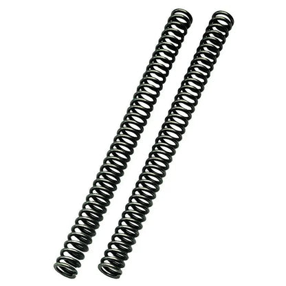 GABELFEDERN FÜR CARTRIDGE-KIT | 300,00 MM | PAAR – Produktbild 1