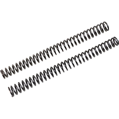 GABELFEDERN FÜR CARTRIDGE-KIT | 0,714 kg/mm (39,97 lb/in) | 300,00 MM | PAAR – Produktbild 1